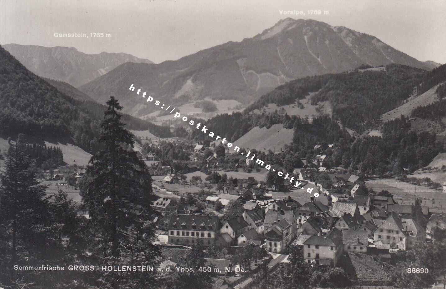 Groß Hollenstein 